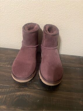 Cozy Short Suede Uggs in Plum